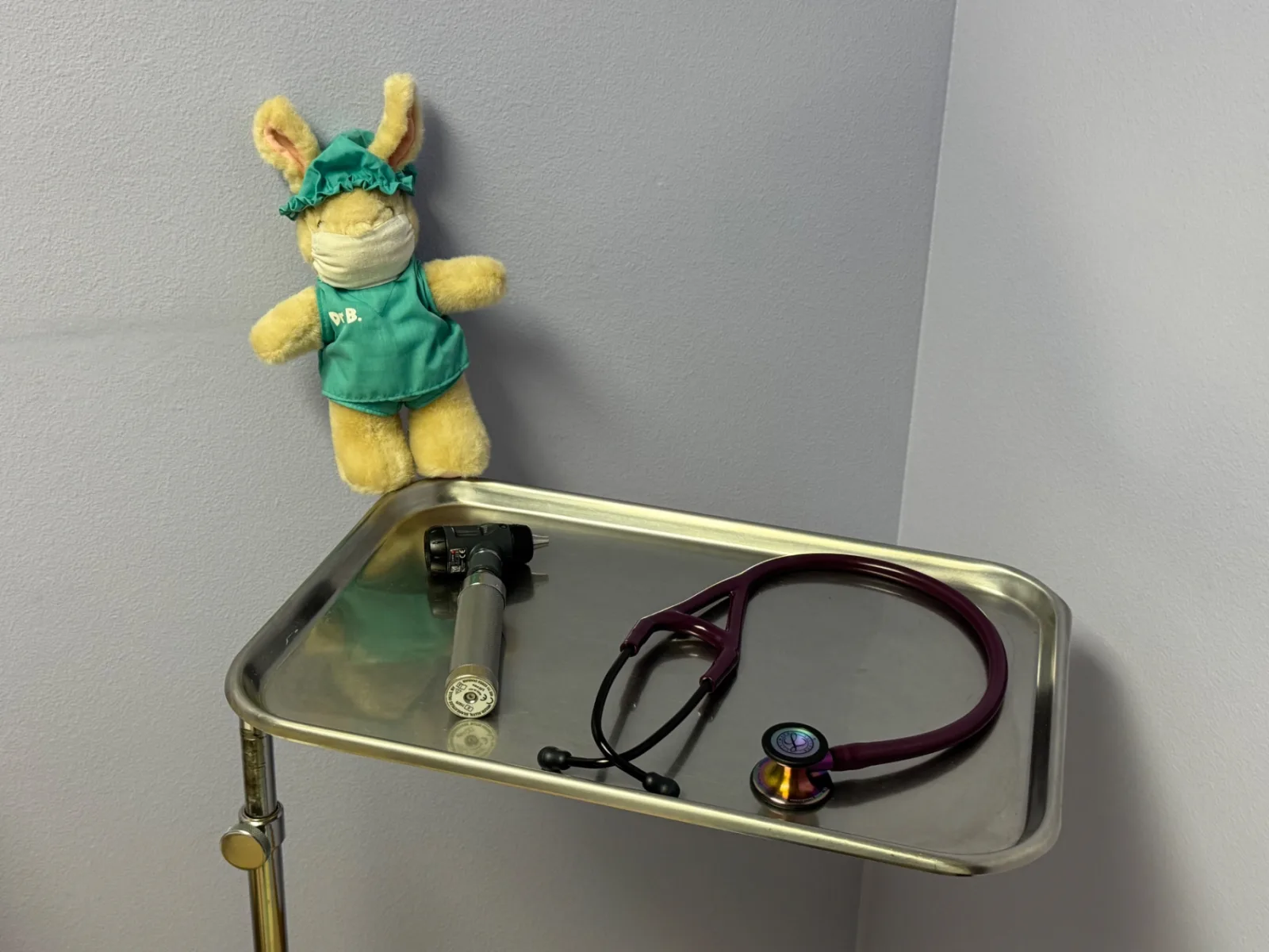 A bunny figurine on the exam tray, one of the small touches around the office